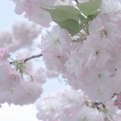 Furry插画细节提升技巧FurryQQ群